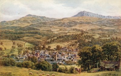 Dolgelley und Cader Idris von Alfred Robert Quinton